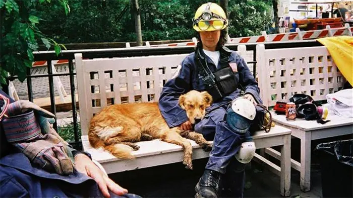 rescuedog