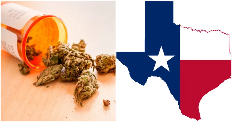 Texas Grants Medical Marijuana To 6 Year-Old Girl With Epilepsy
