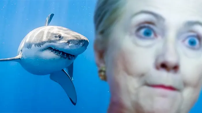 The Pope Sees Hillary Clinton Being Attacked By A Shark, When Suddenly…HA HA!