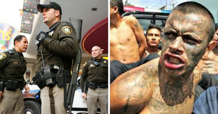 Cops beat MS 13